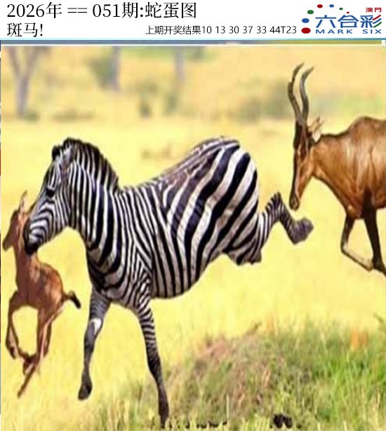 051期正版蛇蛋图[图]