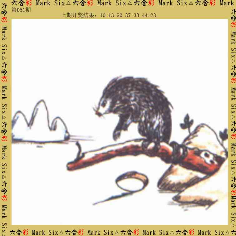 051期藏宝图[图]