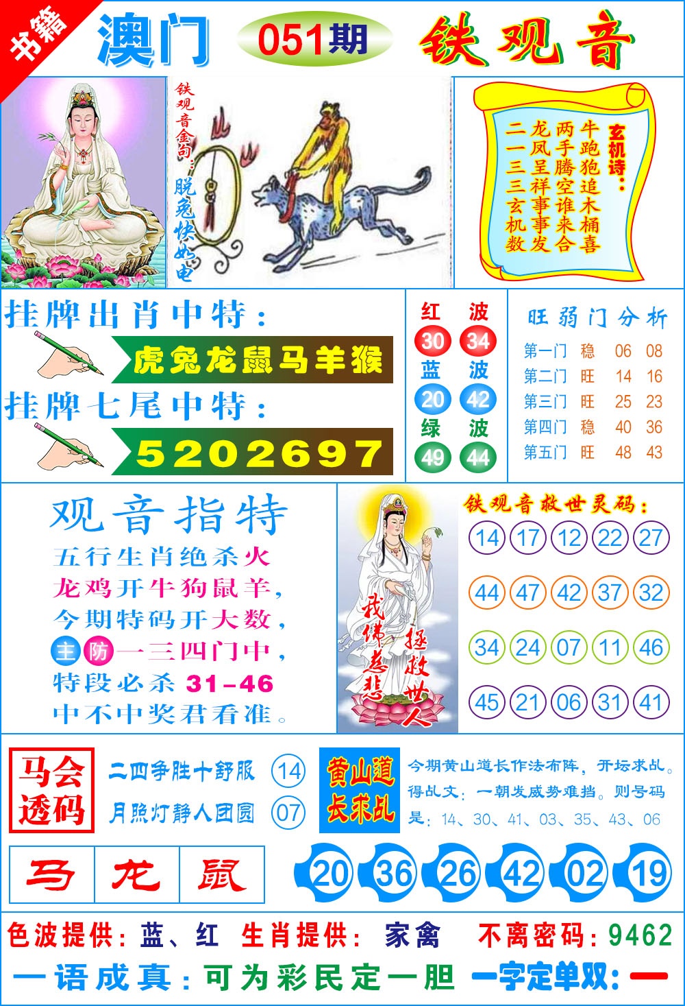 051期澳门铁观音[图]