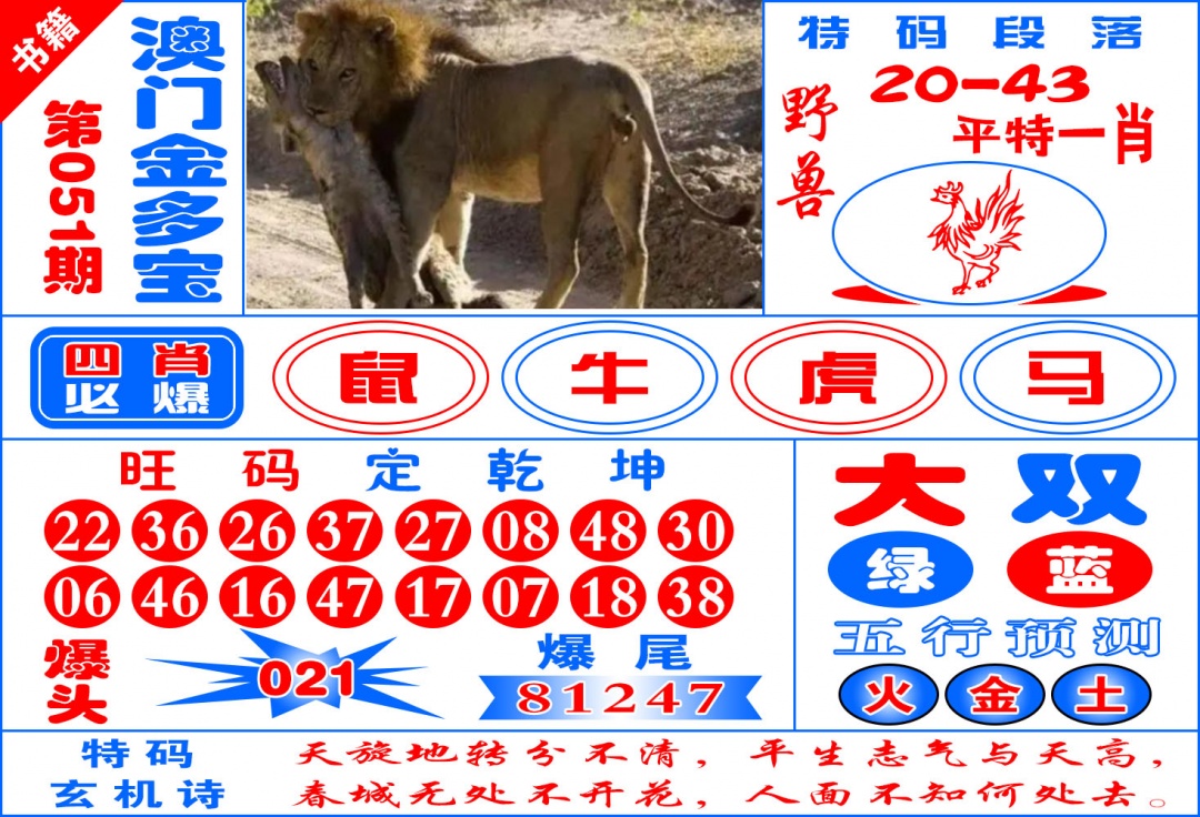051期澳门金元宝[图]