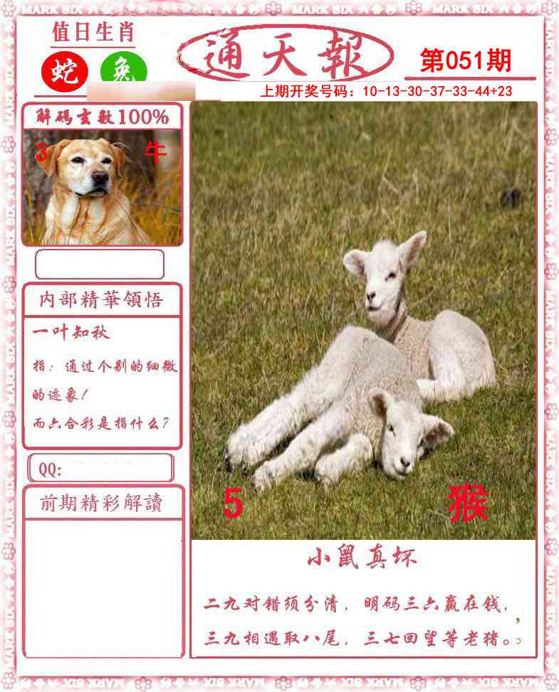 051期正版通天报[图]