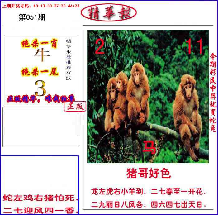 051期新精华报报[图]