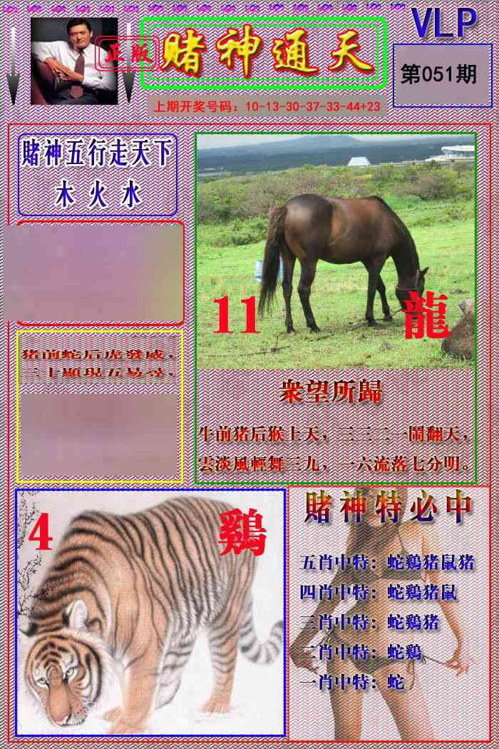 051期赌神通天报[图]