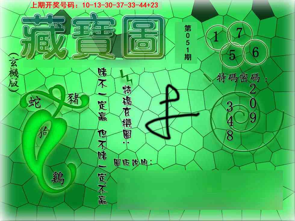 051期九龍玄机报[图]