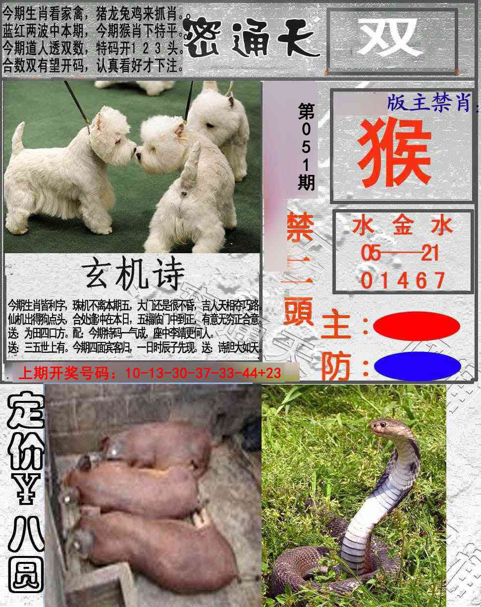 051期密通天[图]