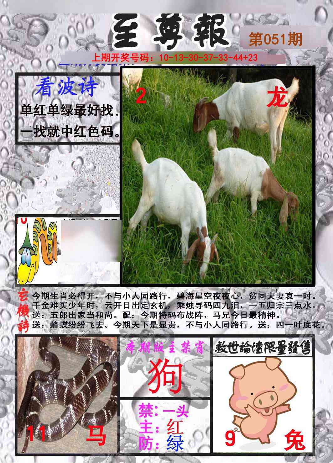 051期至尊报[图]