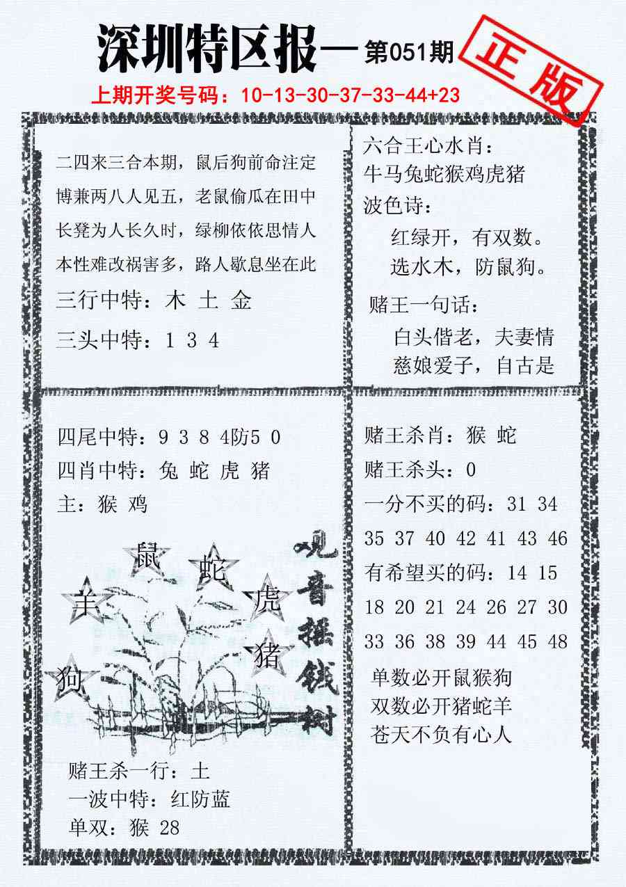 051期深圳特区报A[图]