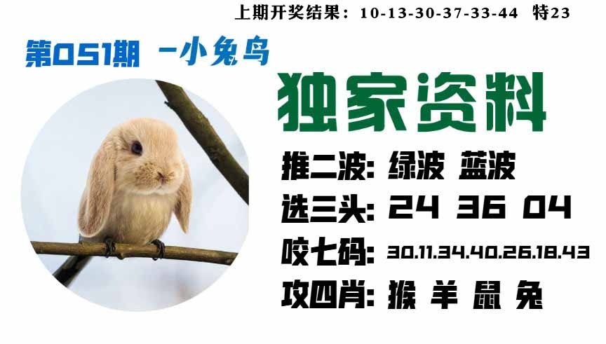 051期小兔鸟[图]