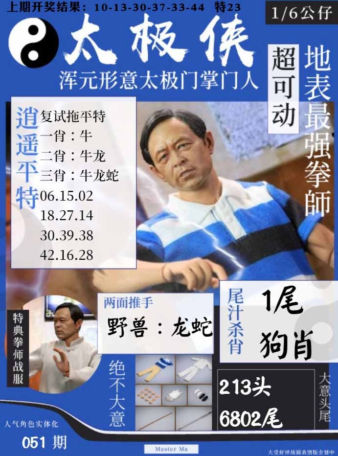 051期太极侠[图]